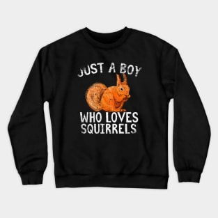 Just A Boy Who Loves Squirrels Crewneck Sweatshirt